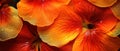 Striking macro capture of a Nasturtium flower. AI Generative
