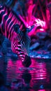 Striking neon zebra drinking from a neon lit watering hole Royalty Free Stock Photo