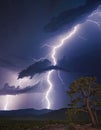 Majestic Nighttime Lightning Strike