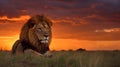 In this striking photograph, a majestic lion in the background, unusually large and powerful, sits gracefully in the prairie.Gener