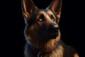 Ai Generative Portrait of a German shepherd dog on a black background