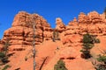 Red Rock Canyon State Park, Utah, Hoodoos and Bristlecone Pines, Desert Southwest, USA