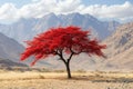 A striking red tree rises in a desert landscape Royalty Free Stock Photo