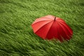 Striking Red umbrella green grass. Generate Ai Royalty Free Stock Photo