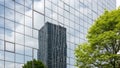 Modern Glass Skyscraper Reflection with Lush Green Tree Royalty Free Stock Photo