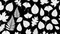 Seamless Black and White Botanical Leaf Pattern Royalty Free Stock Photo