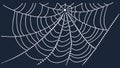 Striking spiderweb on a dark background. Mystery, nature, and intricate design, vector design Generative AI Royalty Free Stock Photo