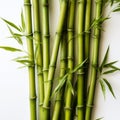 Striking Symmetrical Patterns Of Raw Green Bamboo On White Background