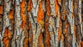 Striking texture of a tree trunk with orange and gray bark. Generative AI Royalty Free Stock Photo