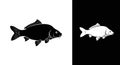 Common Carp Fish Silhouette Icon - Black and White Vector Illustration Royalty Free Stock Photo