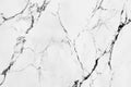Striking White Marble Texture with Dark Veins for Sophisticated Backgrounds Royalty Free Stock Photo