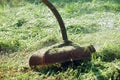 Strimmer trimming green grass, close up Royalty Free Stock Photo