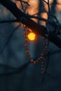 Amber beads, nature\'s canvas, a contemplative dance with dusk\'s radiant embrace Royalty Free Stock Photo