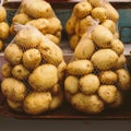 String bags with packaged fresh pure potatoes