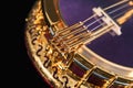 5-string banjos on black background Royalty Free Stock Photo
