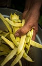 String beans Royalty Free Stock Photo