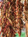String Drying Red Chili Peppers Hanging On A Farmhouse