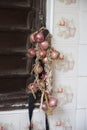 A string of garlic and onion hanging outside a house in Cuba Royalty Free Stock Photo