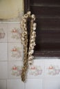 A string of garlic and onion hanging outside a house in Cuba Royalty Free Stock Photo