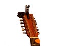 12 String Guitar