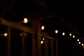 Illuminated Light Bulbs at night