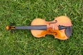 String instrument brown violin outdoor in the garden