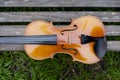 String instrument brown violin outdoor in the garden