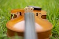 String instrument brown violin outdoor in the garden