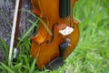 String instrument brown violin outdoor in the garden