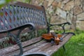 String instrument brown violin outdoor in the garden