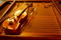 String instrument Royalty Free Stock Photo
