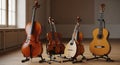 Stringed musical instruments on stands in a room Royalty Free Stock Photo