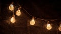 String of light bulbs filled with small white feathers Royalty Free Stock Photo