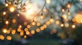 String Lights in the Evening Royalty Free Stock Photo
