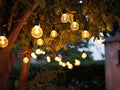 String Lights on tree evening background Royalty Free Stock Photo