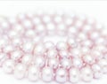 String of pearls delicate pink color Royalty Free Stock Photo