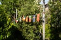 String of small national flags