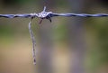 String tangled around a barbed wire Royalty Free Stock Photo