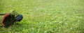 String trimmer on mown grass. Banner format background with copy space. Theme of lawn care services, tool rental or repair Royalty Free Stock Photo