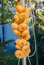 String of white organic Onions hanging in a country fair Royalty Free Stock Photo