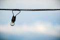 String wired of bulb on blue sky background