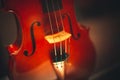 Stringed instruments for classical music Concept of classical and good music
