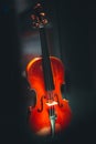 Stringed instruments for classical music Concept of classical and good music