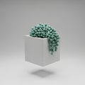 StringOfPearls Succulent 3DRender Floating IsolatedObject Royalty Free Stock Photo