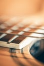 Strings on a classical acoustic guitar, macro shot. Royalty Free Stock Photo