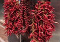 Strings Dried Red Hot Chili Peppers hanging outdoors