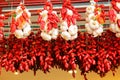 Strings of dried red peppers and garlic. Royalty Free Stock Photo