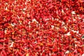 Strings of dried red peppers. Royalty Free Stock Photo
