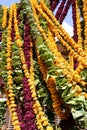 Strings of flowers, Jodhpur, Strings of flowers, Rajastan Royalty Free Stock Photo