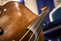 strings of an old contrabass closeup with background Royalty Free Stock Photo